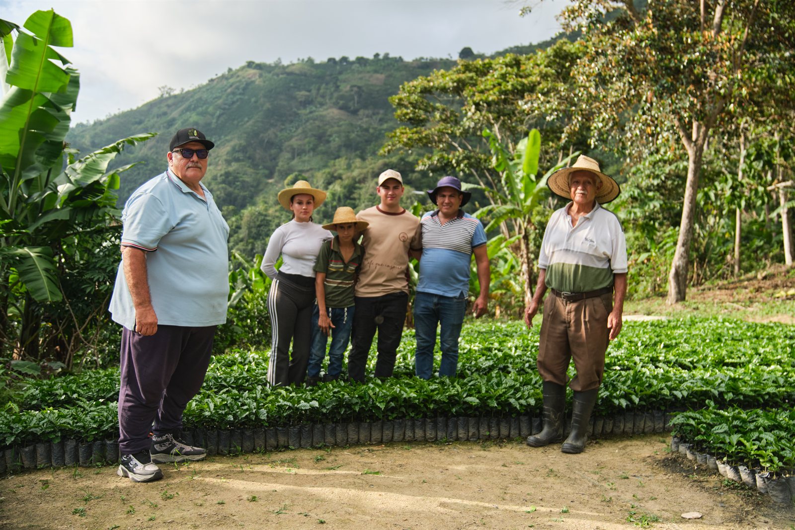 Comunidad y Caficultores de Mérida CCM